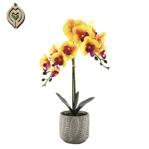 Orquídea artificial <span class=keywords><strong>de</strong></span> colores para decoración del hogar, orquídea artificial <span class=keywords><strong>de</strong></span> tacto real, plantas <span class=keywords><strong>de</strong></span> simulación, gran oferta - Product Image 3
