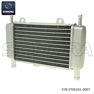 Radiador para Gilera Runner DNA Piaggio <span class=keywords><strong>Zip</strong></span> <span class=keywords><strong>SP</strong></span> (P/N: ST06101-0007) de Alta Calidad - Product Image 1
