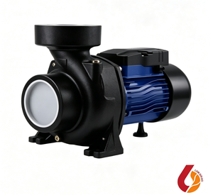 Bomba Centrífuga Solar de Superficie de Gran Calibre y Alto Rendimiento de Hierro Fundido con Controlador MPPT Integrado para Suministro de Agua en Huertos y Ranchos - Product Image 1