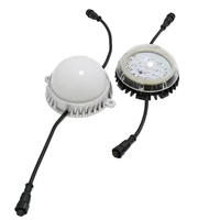 12V 30mm Led piksel Poi DMX Rgb Rgbw Led piksel noktası ışık 3535 Smd su geçirmez açık süslemeleri için