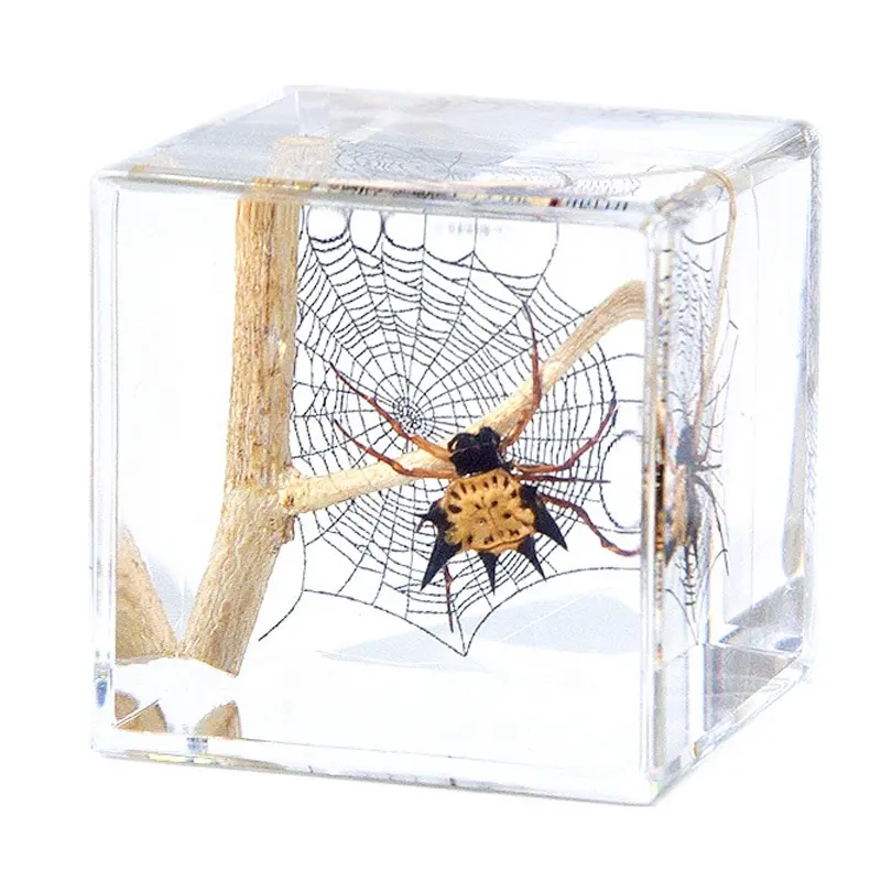 Vrais insectes animaux microscène conception 40*40mm bloc de résine petite maison chambre décor à la maison décoration de table articles décoratifs