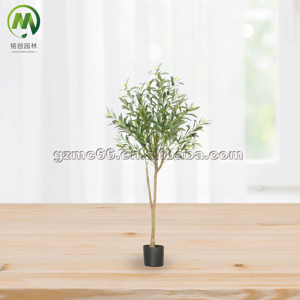 olive tree A - 120cm