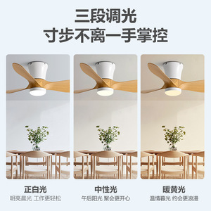 <b>Ceiling</b> <b>Fan</b> Light With Led Fixed Blade For Bedroom Entryway Home Use Silent Operation 5 Year Warranty - Product Image 5