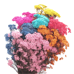 100g/paquet naturel véritable décoratif préservé fleur de riz séché Bouquet pour la maison mariage fête fleur Arrangement <span class=keywords><strong>boutique</strong></span> - Product Image 1