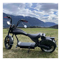 Scooter électrique DOT EEC à double siège E-Chopper Citycoco 2000W/4000W, autonomie de 60 km, trois vitesses réglables