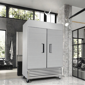 Refrigerador Eléctrico Doméstico y Comercial para Secar y Curar Carne, con Doble Puerta y Descongelación Automática - Product Image 3