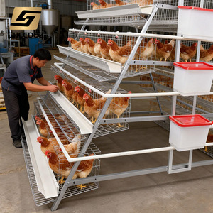 Jaulas de Batería para Aves de Corral Gallinas Ponedoras, Tipo A, para Ponedoras en Granjas Avícolas - Product Image 6