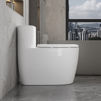 Ensemble de toilettes en céramique monobloc à poser au sol avec chasse d'eau cyclonique pour usage extérieur