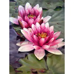 Meian gros fleur de lotus à la main diamant broderie taille personnalisée 5d cristal diamant peinture Art Prints