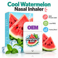 OEM Neus Inhalator Watermeloen Koelende Fruitgeur Zakformaat Apparaat Aangepaste Branding Lage MOQ Fabriek Groothandel Retail Verpakking