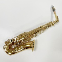 Wholesale Brass Eb Alto Saxophone with Case Accessories Factory Price for Sale Accept OEM ODM Customize Logo Gold Lacquer Finish