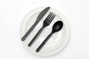 CPLA échantillon gratuit de couverts jetables cuillère compostable fourchette couteau à emporter PLA fourchette cuillère