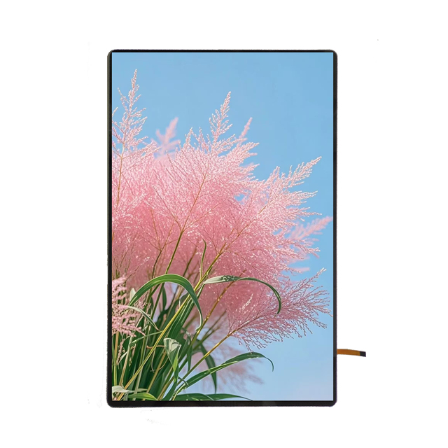 High Resolution 10.1-Inch 800*1280 TFT LCD Display Competitive Price OEM Screen Panel for LCD Modules