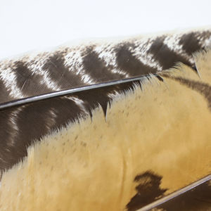 हाथ शिल्प व्यवसाय उपहार ओएल पंख स्याही सेट के साथ क्विल पंख पेन - Product Image 5