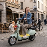 Vélo Électrique Urbain Tout-Terrain 14 Pouces, 3 Vitesses en Option, Pneus Larges, Mini Moto Électrique à 2 Roues, Vélo Électrique à Vendre