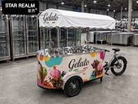 Carritos Congeladores de Gelato en Oferta, Carritos de Helados y Popsicles, Carritos de Comida, Carritos de Gelato con Congelador