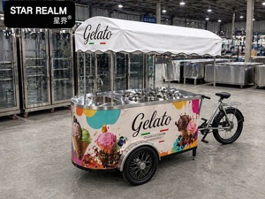 Carrelli Congelatori per Gelato in Offerta Speciale, Carrello Gelato su Ruote con Congelatore per Popsicle e Gelato, Carretto Gelato Ambulante - Product Image 3