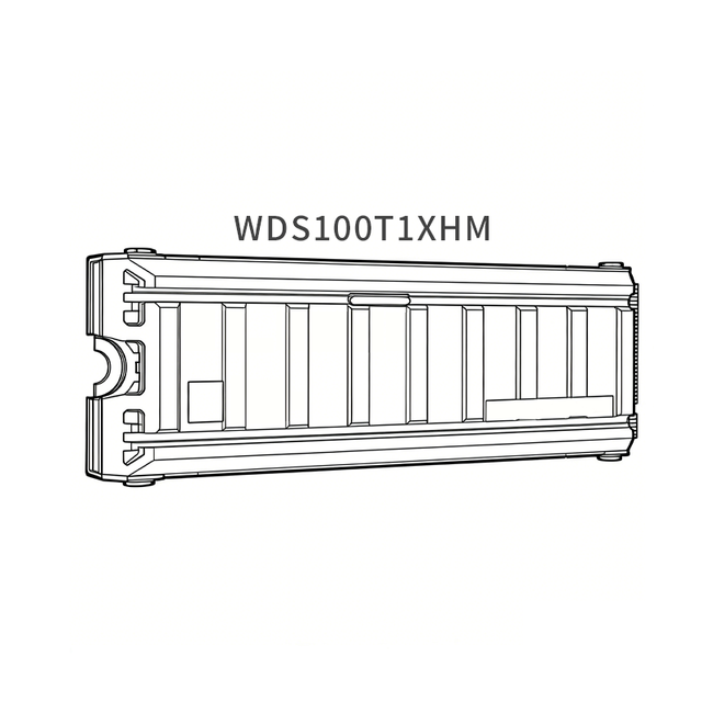 DZXT WDS100T1XHM, With Heatsink, BLACK SN8100 SSD - 1TB