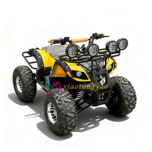 Nouvelle Offre : Mini Quad Électrique 48V 500W Sans Balais pour Enfants - Voiture Jouet Unisexe - Product Image 3