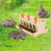 Mangeoire à foin pour animaux de compagnie distributeur de nourriture pour cochon d'Inde lapin mangeoire amovible en bois massif pour lapin