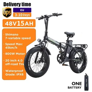 Snow Fat Tire Moteur de moyeu arrière pour adultes EU Warehouse Stock plié 2 places 1 panier Cargo E Bike 2023 Vélo électrique 20 pouces 800W