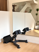 Banc d'hyperextension à 45 degrés SK Commercial Gym pour entraînement de la colonne vertébrale, équipement de fitness pour clubs et studios