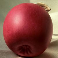 BZY Luxe Koperen Appel Sculptuur Messing Fruit Figuur Modern Huisdecoratie Metaal Kunst Beeld Groothandel OEM Fabriek Bulk