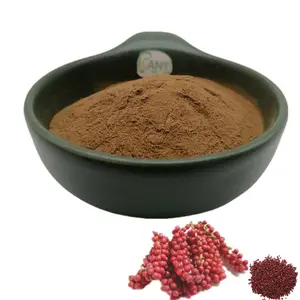 Pasokan Tanaman ekstrak schisandra alami murni 10:1 bubuk ekstrak Berry schisandra