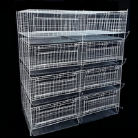 Nouvelle cage à poulets en batterie en treillis métallique pour élevage avicole automatique en ferme avicole