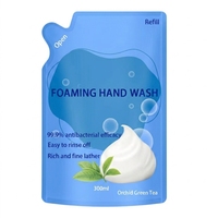 Detergente Schiumogeno per Mani Personalizzato all'Ingrosso, Ricarica da 300ml, Sapone Liquido Igienizzante per Mani al Profumo Floreale per Fornitori all'Ingrosso