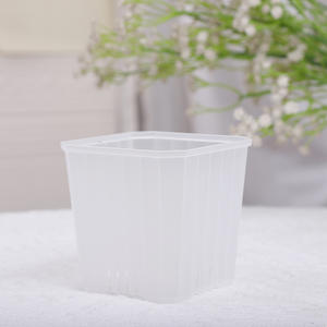 Maceta <span class=keywords><strong>de</strong></span> plantación para vivero interior <span class=keywords><strong>de</strong></span> diseño minimalista macetas <span class=keywords><strong>suculentas</strong></span> cuadradas pequeñas <span class=keywords><strong>de</strong></span> plástico transparentes multicolores - Product Image 5