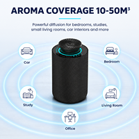 Diffuseur d'arômes de voiture OEM ODM 20 ml, nébuliseur d'huiles essentielles sans eau Bluetooth, emballage personnalisé, marque privée, minuterie intelligente