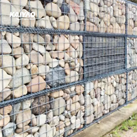 Filet de gabion élégamment tissé-combinant l'art avec la protection des murs paysagers
