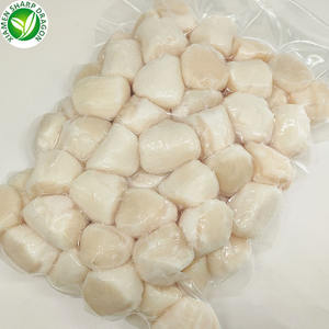 IQF SharpDragon जमे हुए समुद्री भोजन ताजा कच्चे सामग्री बे सीप मांस - Product Image 4