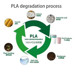 แก้วสเตเดียม PLA ขนาด 9 ออนซ์ ไม่แตกหัก สำหรับเด็กและผู้ใหญ่ ย่อยสลายได้ นำกลับมาใช้ใหม่ได้ เหมาะสำหรับงานเทศกาล ปิกนิก งานอีเว้นท์ ท่องเที่ยว แก้วกาแฟ - Product Image 3