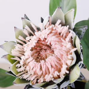 Flor Artificial 3D de Protea, Alta Simulación, Decoración para Bodas, Reutilizable y Reciclable - Product Image 1