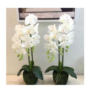 Orquídea de Seda 3D Real Touch, 9 Cabezas, Artificial, Blanca, para Interiores, Sala de Estar - Product Image 1
