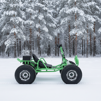 Kart électrique 48V 500W pour la course, le drift et la piste, charge maximale : 300 kg, conçu pour les pistes de jardin et les courses en plein air