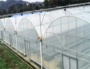Multi-span plastic film greenhouse 1100 square meter greenhouse cheep and effective greenhouse