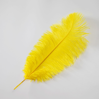 Offre Spéciale Plumes d'autruche artificielles blanches 55-60 cm, longues et naturelles, pour fêtes et mariages, vente en gros à prix abordable