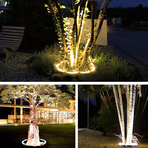 Garden Landscape <strong>Outdoor</strong> <strong>Tree</strong> <strong>Light</strong> Ring Ip66 Ac220v Dc24v 60w Aluminum Durable Ring Palm <strong>Tree</strong> Lamp - Product Image 4