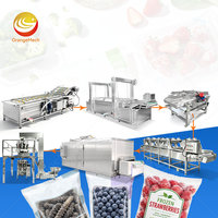 ORME Vriesvruchten- en groenteverwerkingslijn, machine voor het wassen, reinigen en snijden van fruit en groenten voor inblikken