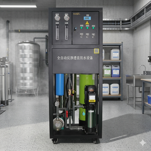 Système d'eau pure 250L 0,5T/h, équipement de traitement de l'eau par osmose inverse industriel/commercial pour la filtration de l'eau de puits rurale - Product Image 1
