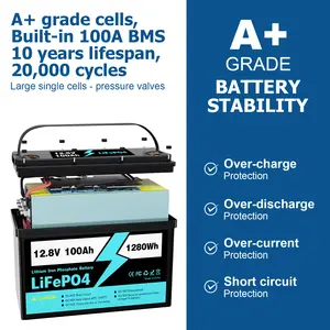 Nieuw Ontwerp Leeuw Batterij Zonne-Energie Licht 100 Amp Uur Lithium 12V 24V 7ah 20ah Rv 100ah Met Lage Prijs