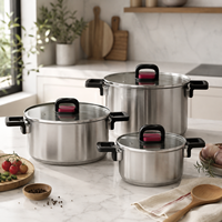 Marmite à soupe et faitout moderne en acier inoxydable de qualité alimentaire avec couvercle en verre, compatible induction, poignées pliables pour cuisine domestique