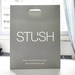 Bolsas de Papel de Lujo con Asas Troqueladas y Logotipo Personalizado, Bolsas de Compras de Moda, Bolsas de Papel con Asas Troqueladas para Maquillaje - Product Image 2