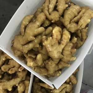 Китай, Шаньдун, свежий имбирь, горячая Распродажа, экспорт, Канада - Product Image 2