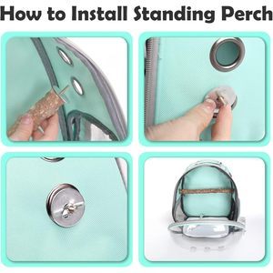 Mochila portátil de acero inoxidable para pájaros, percha transparente para loro, cacatúa, jaula de viaje, bolsa de transporte para pájaros de juguete - Product Image 4