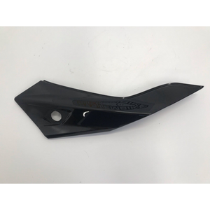 Plexiglass e supporto per parabrezza moto BMW F 900 R - Product Image 1