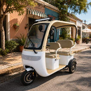 <span class=keywords><strong>Tricycle</strong></span> électrique SumEV New 60V 20AH pour passagers avec toit, 3 places, <span class=keywords><strong>trike</strong></span> électrique intelligent avec espace de rangement sous le siège, capacité de charge 250 kg - Product Image 6